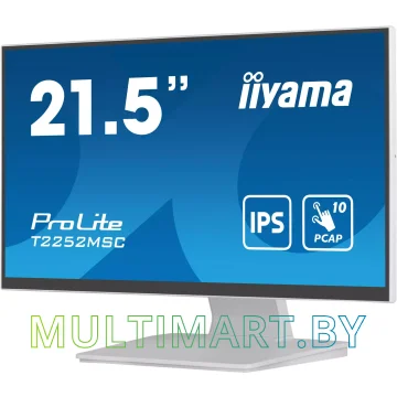 Монитор Iiyama ProLite T2252MSC-W2 картинка 5